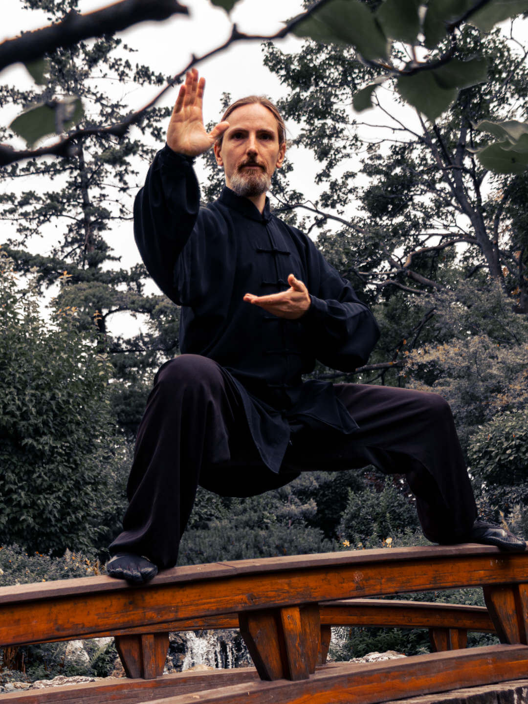 Paris Lainas - Chen Taijiquan